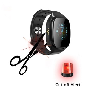 Key Lock Personal Real Time Tracking Device